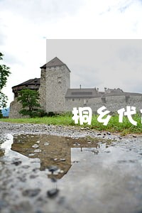 桐乡代位继承纠纷律师收费标准