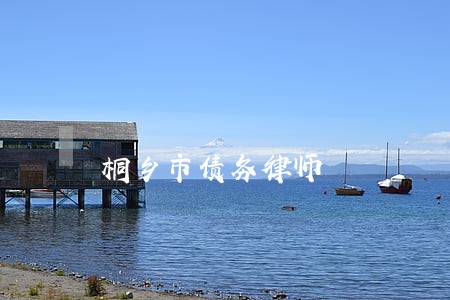 桐乡市债务律师 桐乡市债务律师