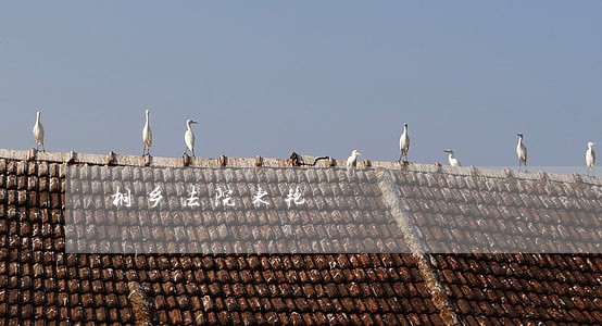 桐乡法院东艳 桐乡法院东艳