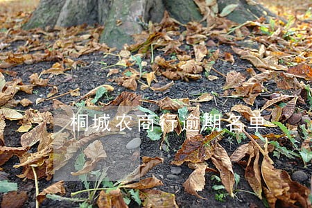 桐城农商行逾期名单 桐城农商行逾期名单