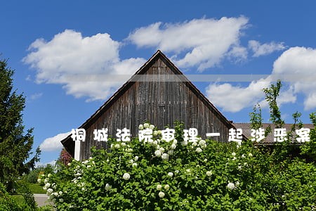 桐城法院审理一起涉恶案 桐城法院审理一起涉恶案