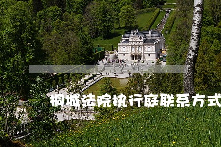 桐城法院执行庭联系方式