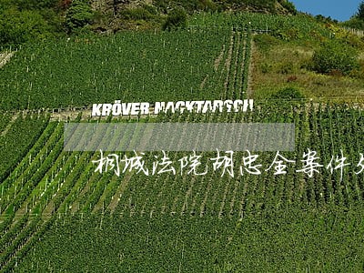 桐城法院胡忠全案件处理情况