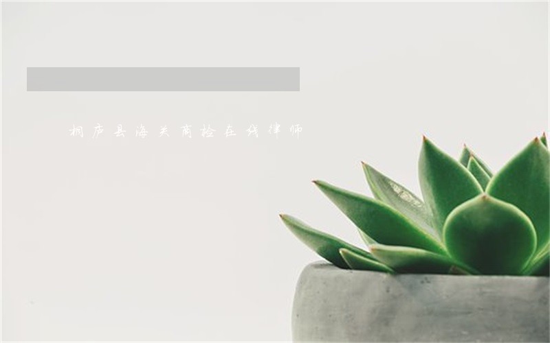桐庐县海关商检在线律师 桐庐县海关商检在线律师