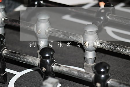 桐庐司法拍卖来喽 桐庐司法拍卖来喽