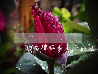 桐庐律师事务所地址 桐庐律师事务所地址