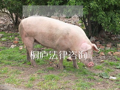 桐庐法律咨询 桐庐法律咨询