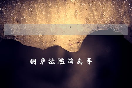 桐庐法院拍卖车