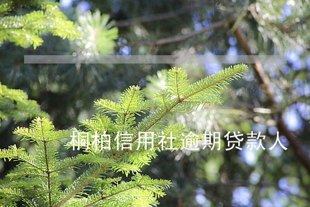 桐柏信用社逾期贷款人 桐柏信用社逾期贷款人