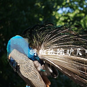 桐柏法院护民暖心迎元宵 桐柏法院护民暖心迎元宵