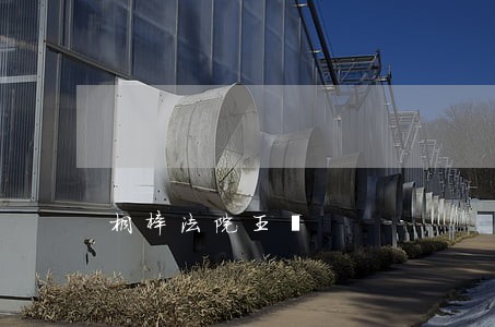桐梓法院王甹