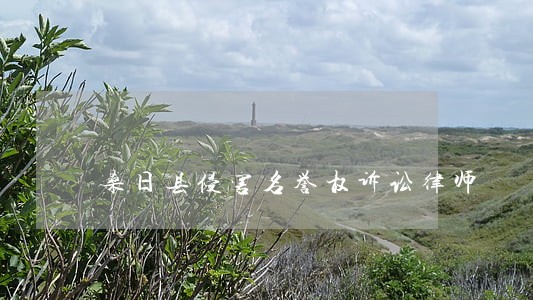 桑日县侵害名誉权诉讼律师 桑日县侵害名誉权诉讼律师