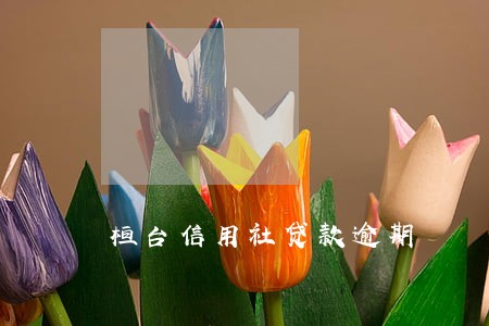 桓台信用社贷款逾期