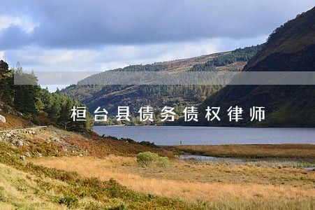 桓台县债务债权律师 桓台县债务债权律师