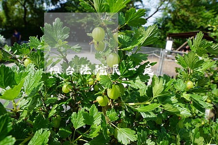 桓台法院民一庭 桓台法院民一庭