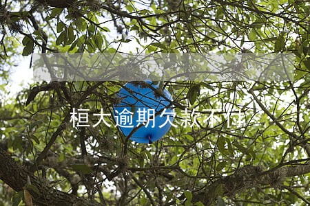 桓大逾期欠款不付 桓大逾期欠款不付
