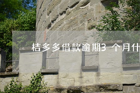 桔多多借款逾期3个月什么后果 桔多多借款逾期3个月什么后果