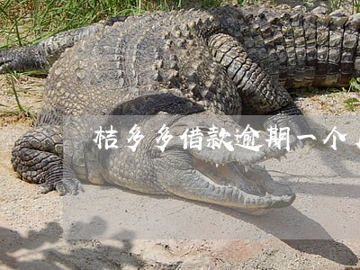 桔多多借款逾期一个月 桔多多借款逾期一个月