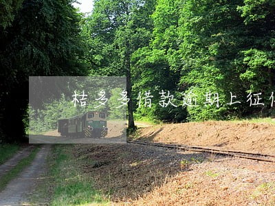 桔多多借款逾期上征信吗 桔多多借款逾期上征信吗