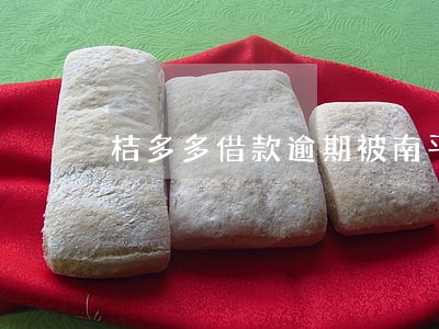 桔多多借款逾期被南平仲裁立案