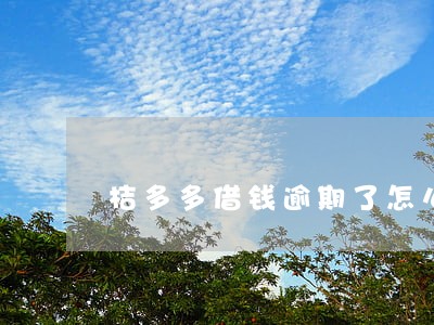 桔多多借钱逾期了怎么办