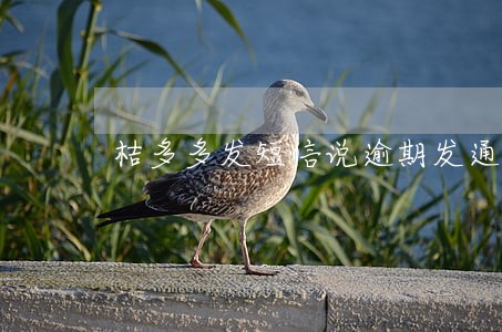 桔多多发短信说逾期发通告函 桔多多发短信说逾期发通告函