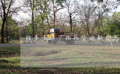 桔多多旗下拍拍贷逾期会怎么样