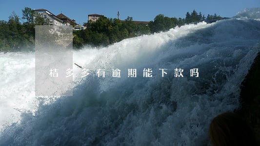 桔多多有逾期能下款吗 桔多多有逾期能下款吗
