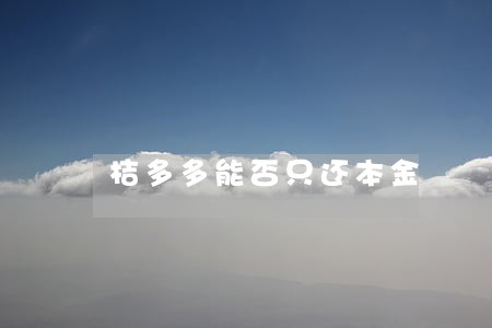 桔多多能否只还本金 桔多多能否只还本金