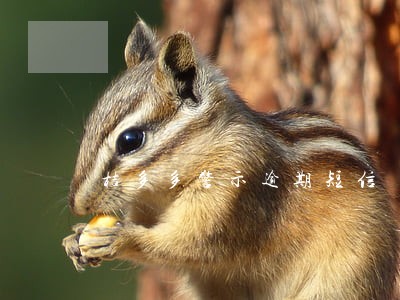 桔多多警示逾期短信 桔多多警示逾期短信