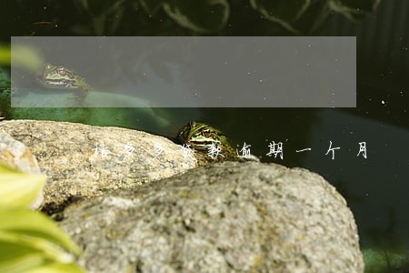 桔多多贷款逾期一个月 桔多多贷款逾期一个月