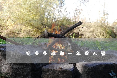 桔多多逾期一年没人管 桔多多逾期一年没人管