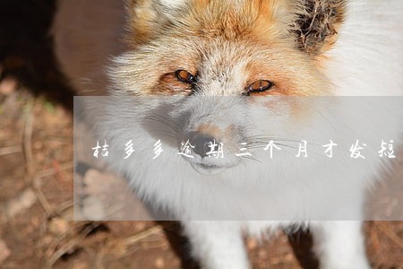 桔多多逾期三个月才发短信 桔多多逾期三个月才发短信