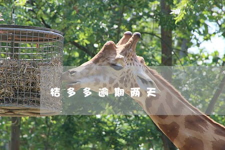 桔多多逾期两天