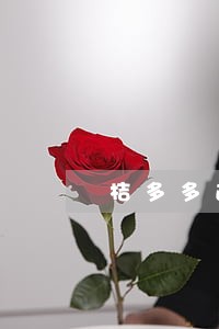 桔多多逾期两天会怎么样 桔多多逾期两天会怎么样