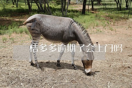 桔多多逾期了会上门吗
