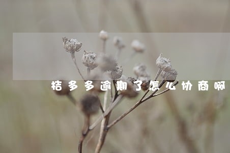桔多多逾期了怎么协商啊 桔多多逾期了怎么协商啊