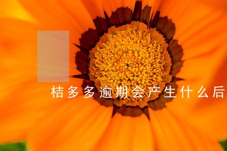 桔多多逾期会产生什么后果