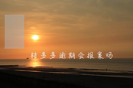 桔多多逾期会报案吗