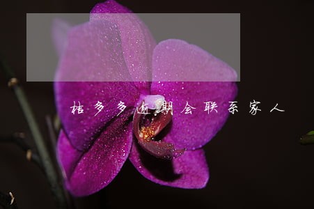 桔多多逾期会联系家人 桔多多逾期会联系家人