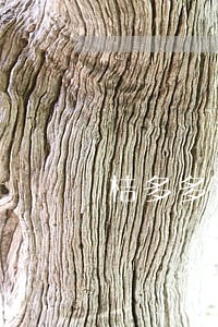 桔多多逾期几个小时 桔多多逾期几个小时
