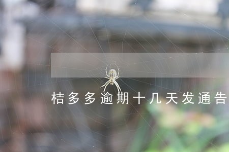 桔多多逾期十几天发通告函吗 桔多多逾期十几天发通告函吗