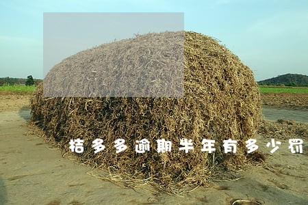 桔多多逾期半年有多少罚息 桔多多逾期半年有多少罚息
