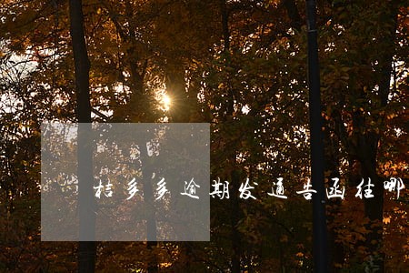 桔多多逾期发通告函往哪里发 桔多多逾期发通告函往哪里发