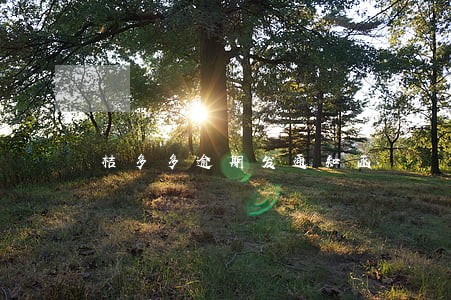 桔多多逾期发通知函 桔多多逾期发通知函