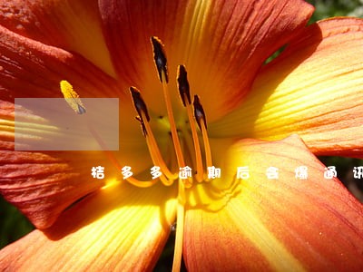 桔多多逾期后会爆通讯录吗 桔多多逾期后会爆通讯录吗