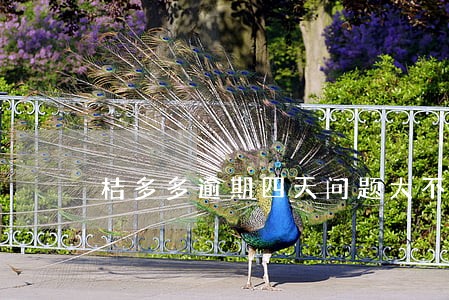桔多多逾期四天问题大不大 桔多多逾期四天问题大不大