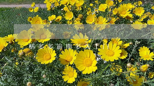 桔多多逾期多久上门 桔多多逾期多久上门