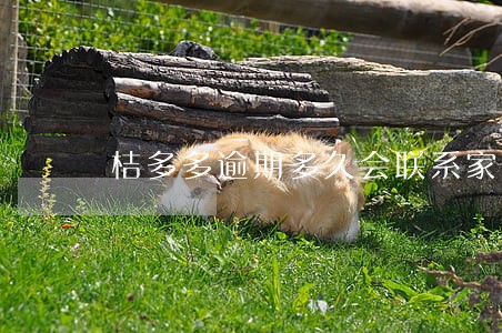 桔多多逾期多久会联系家人 桔多多逾期多久会联系家人