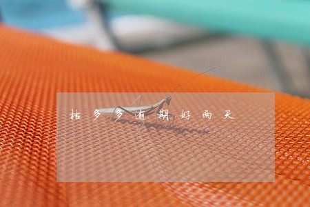 桔多多逾期好两天 桔多多逾期好两天